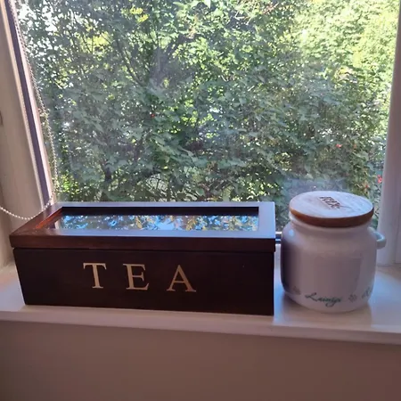 - Alauksta 公寓 里加